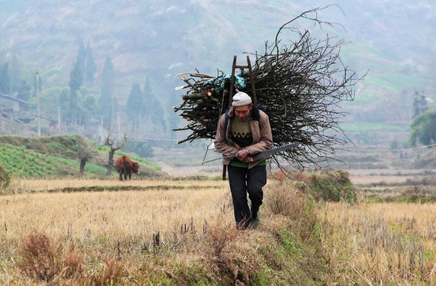 "砍柴的陪不住放羊的"是什么意思?